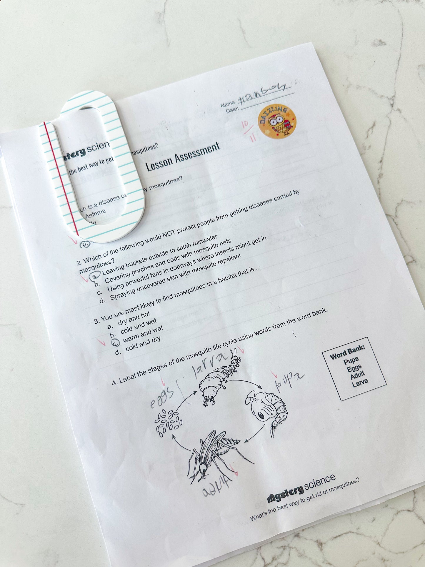 OVERSIZED Teacher Paper Clips - 3 pack