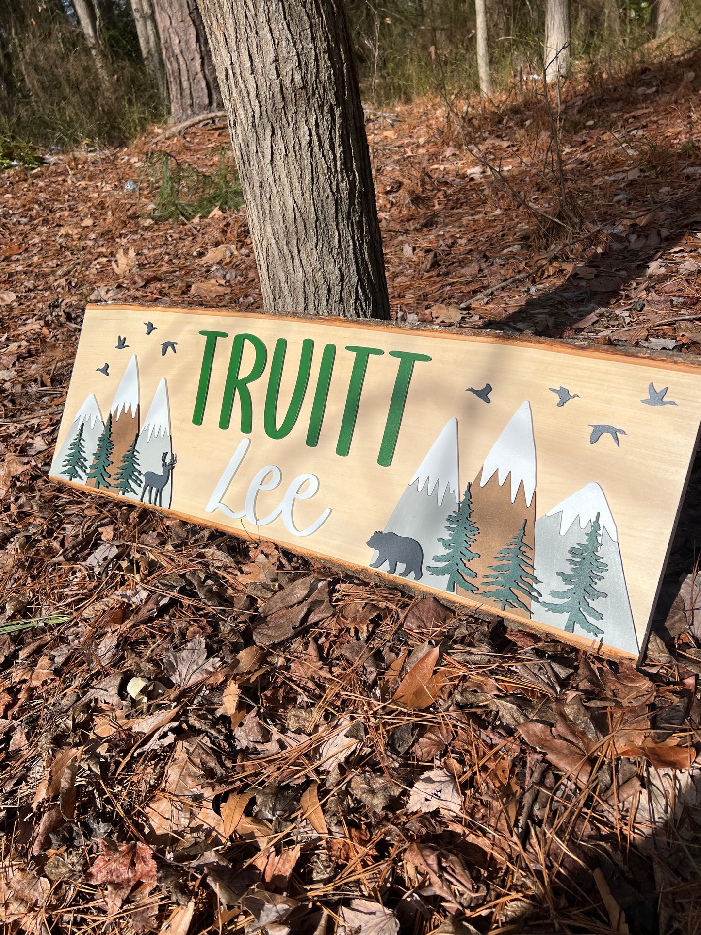 Rustic Nursery Sign | woodland nursery | woodland decor | baby name sign | rustic | woodland | boy nursery |