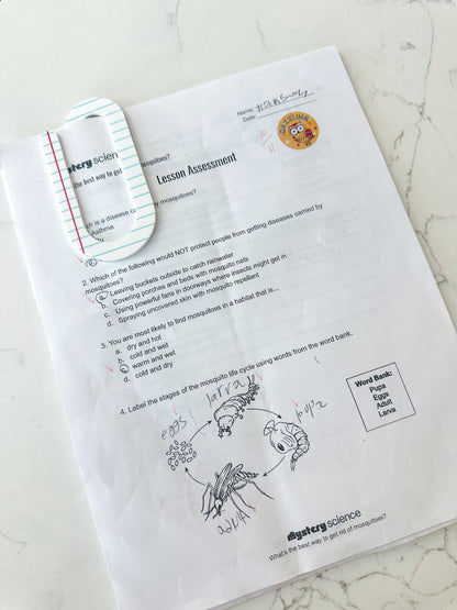 OVERSIZED Teacher Paper Clips - 3 pack